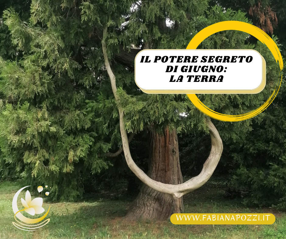 Hanno fame di luce le sere di giugno. Persino le parole vanno a cercare la parte più chiara e luminosa di ciò che vogliono dire. (Fabrizio Caramagna) Il mese di giugno è il mese del solstizio d'estate, le giornate sono più luminose e l'energia aumenta la terra chiama il potere segreto di giugno